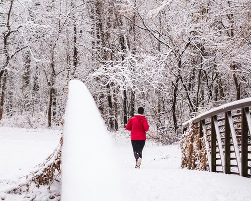Eine Person in einem roten Oberteil joggt auf einem verschneiten Weg, der zu einer Brücke führt, umgeben von schneebedeckten Bäumen.